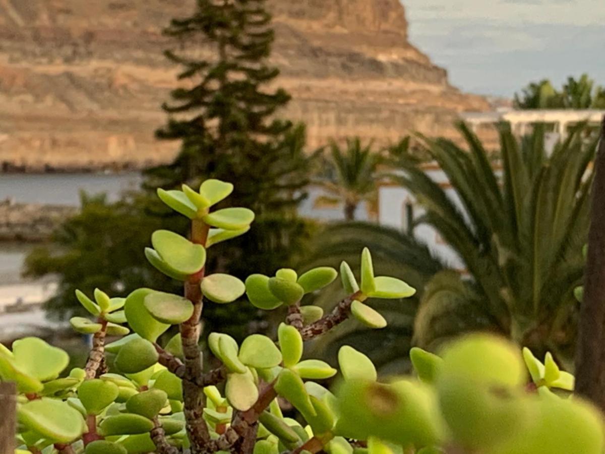 Apartamento Ílios de Mogán Puerto De Mogan Exterior foto
